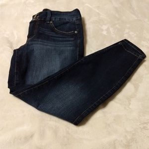 Torrid Premium Stretch Denim Jean Jegging